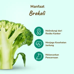Brokoli - Image 3
