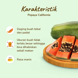 Pepaya California (biji) - Image 2