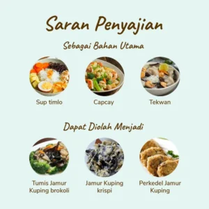 Jamur Kuping - Image 2