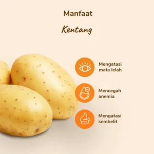 Kentang Sedang - Image 3