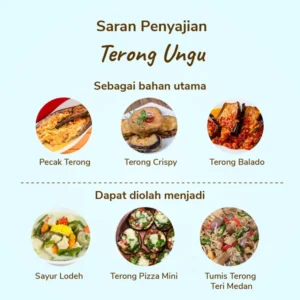 Terong Ungu - Image 2